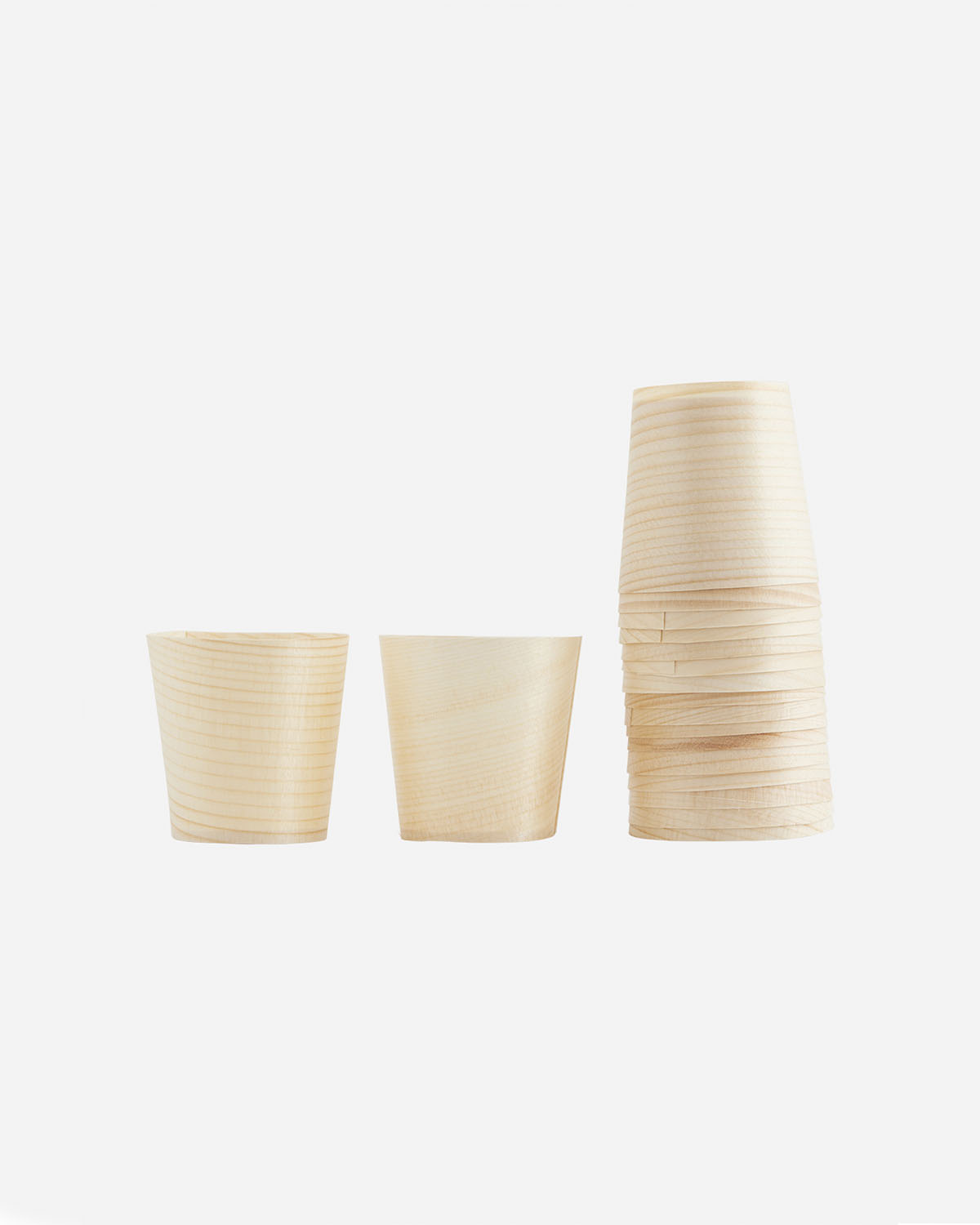 Birch - Cup, Pack of 24 pcs