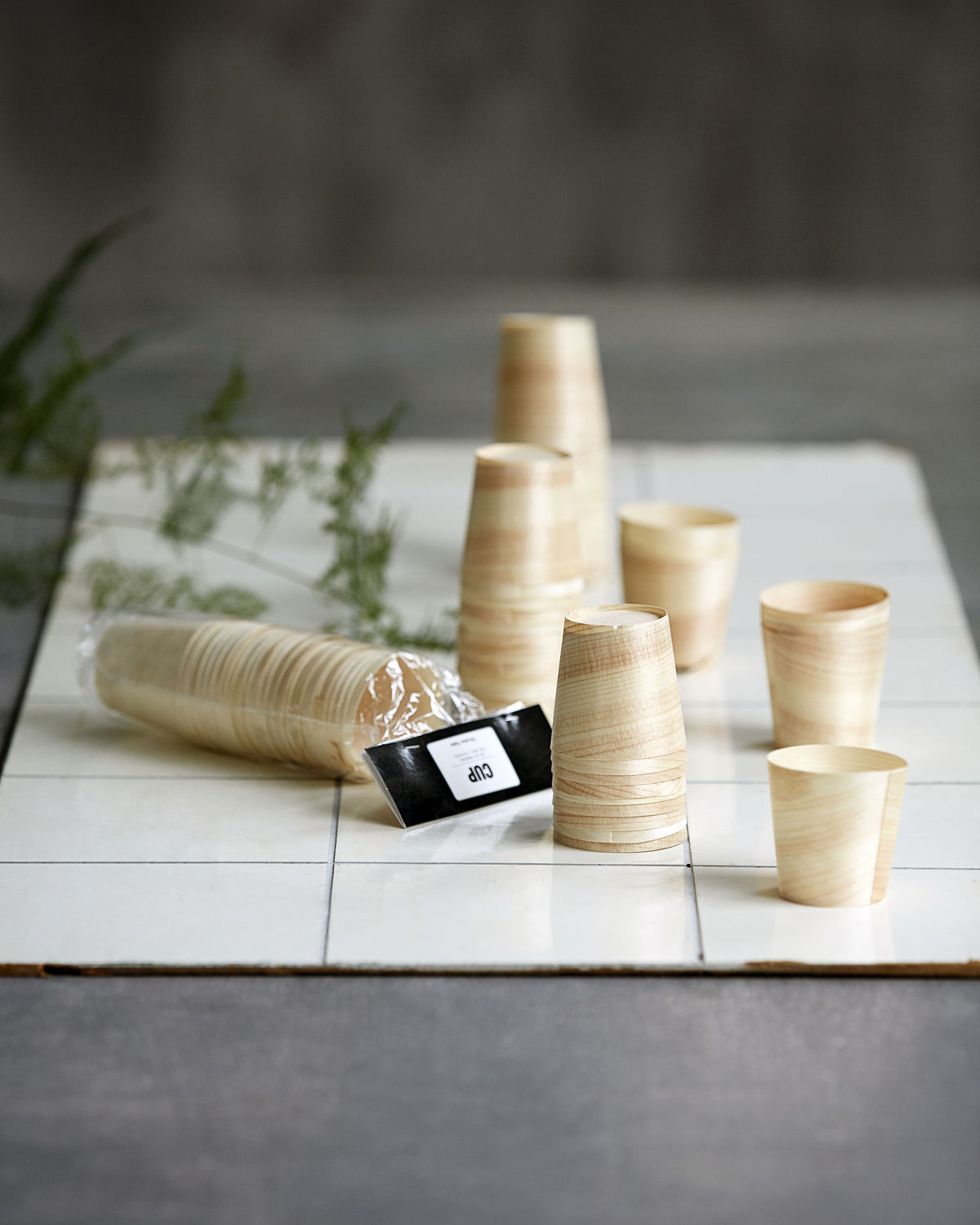 Birch – Cup, Pack of 24 pcs 2 Birch - Cup, Pack of 24 pcs